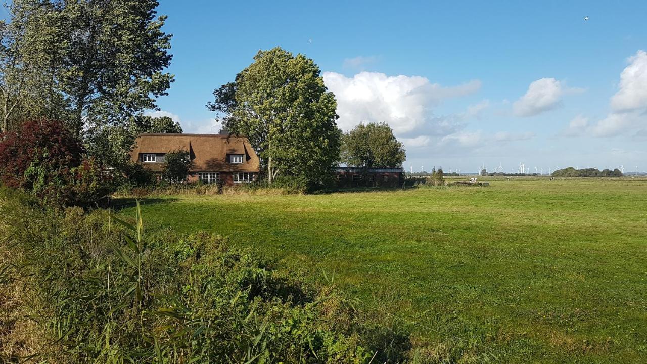 Ferienwohnung Marschkieker - Kleiner Deichhof Hattstedtermarsch Buitenkant foto