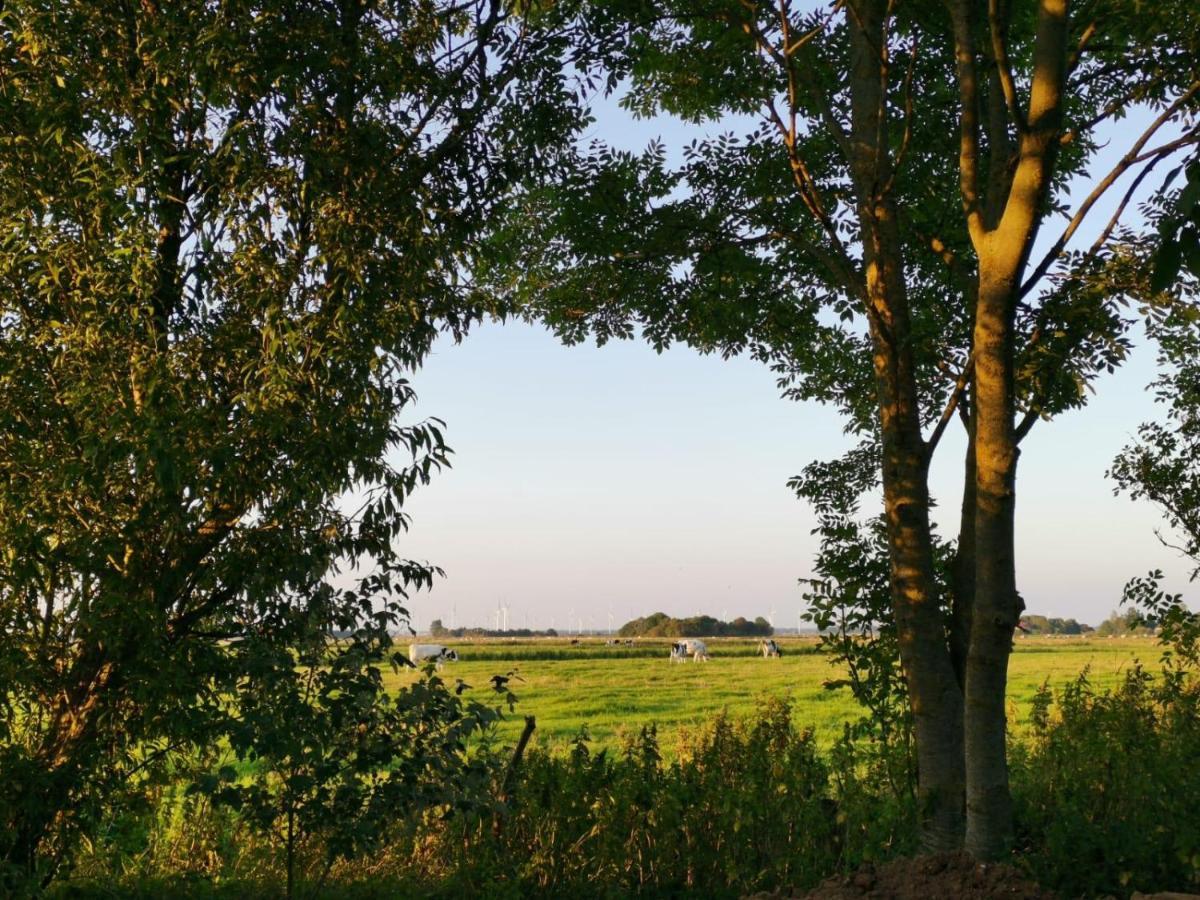 Ferienwohnung Marschkieker - Kleiner Deichhof Hattstedtermarsch Buitenkant foto
