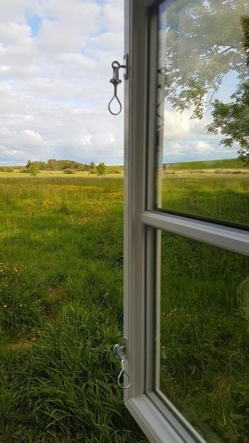 Ferienwohnung Marschkieker - Kleiner Deichhof Hattstedtermarsch Buitenkant foto