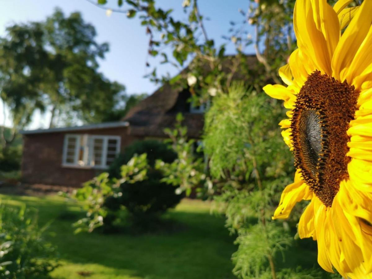 Ferienwohnung Marschkieker - Kleiner Deichhof Hattstedtermarsch Buitenkant foto