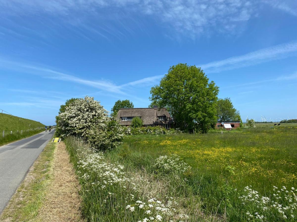 Ferienwohnung Marschkieker - Kleiner Deichhof Hattstedtermarsch Buitenkant foto