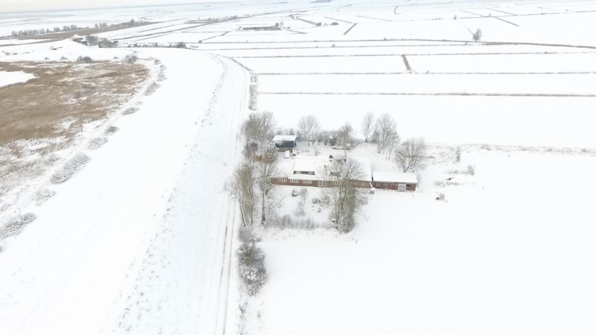 Ferienwohnung Marschkieker - Kleiner Deichhof Hattstedtermarsch Buitenkant foto