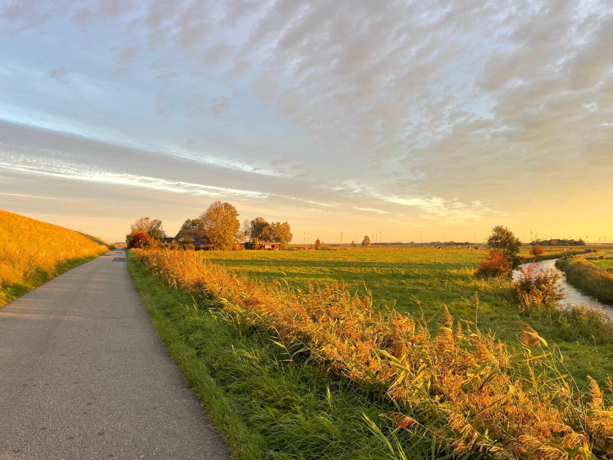 Ferienwohnung Marschkieker - Kleiner Deichhof Hattstedtermarsch Buitenkant foto